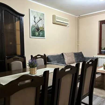 Apartment Icy Belgrade